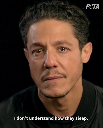 They watched a real-life horror movie & this is how they reacted. Were your favorite celebs brought to tears from seeing the cruelty of animal experiments? Featuring: Kate Del Castillo Theo Rossi Patricia De LEON Emilio Rivera Stéphanie Gérard Lexi Griswold Elisabetta Canalis Evelyn Gonzalez Angela Means | PETA (People for the Ethical Treatment of Animals)