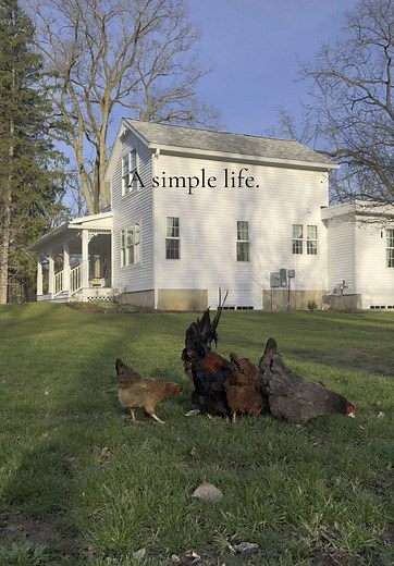 Embracing a Simple Life on the Homestead