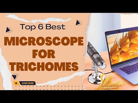 Best Microscope for Trichomes in 2023 [Top 6 Reviews]