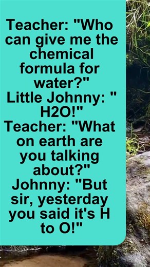 humorWarm, smart and kind humor