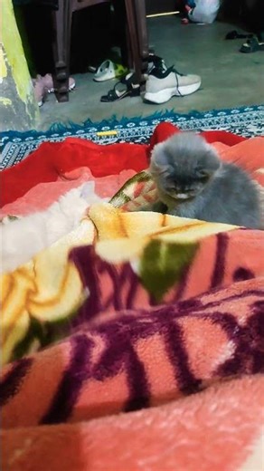 😂😂😂😂😂👍#