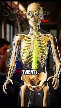 What Happen to your body when you consume vitamin C
