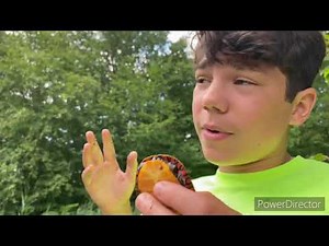 Catching 10+ Turtles in a lake. ( baby red eared slider)