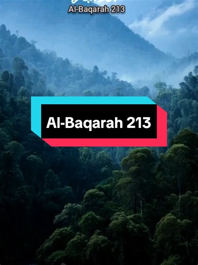 Bacaan Surah Al-Baqarah 213 yang Menyentuh