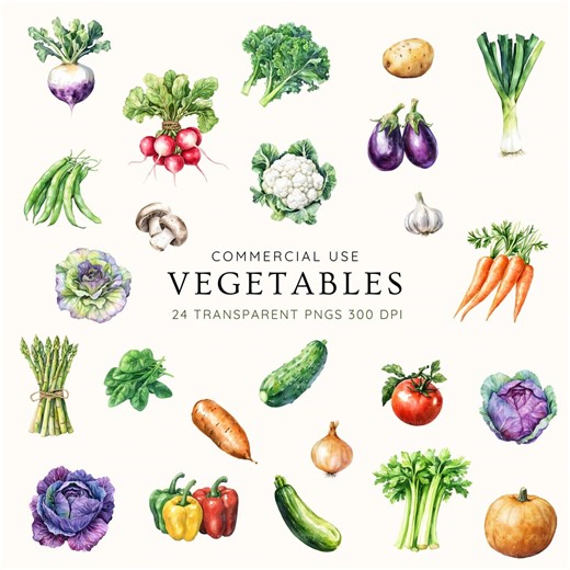 Vegetable Clipart Bundle, 24 Vegetable Pngs, Fresh Farm Produce Digital Download, Botanical Food Illustration, Kitchen Art - Etsy Canada