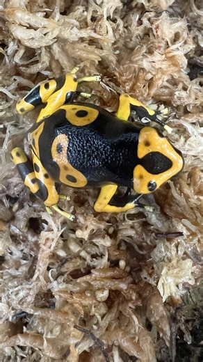 We had a great time at SUPERZOO, by WPA, last month! Super Zoo has...