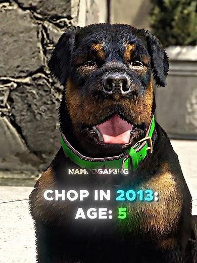 Chop In 2013 vs 2021 😭😢 #gta #gta5 #grandtheftauto