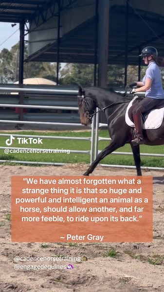 Discover Unique Horse Training Techniques and Exercises