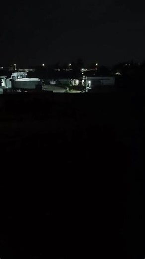 FOX SCREAMING AT NIGHT #nature#animals #night