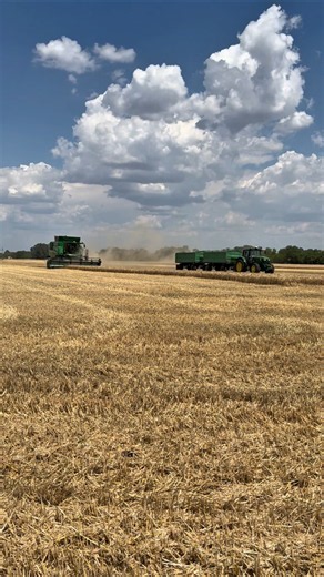 Harvest Team in Action 🌾🚜 #Farming #Harvest #Tractor