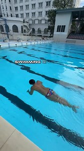 Dolphin Academy 🐬 🐬 | Dolphin Academy