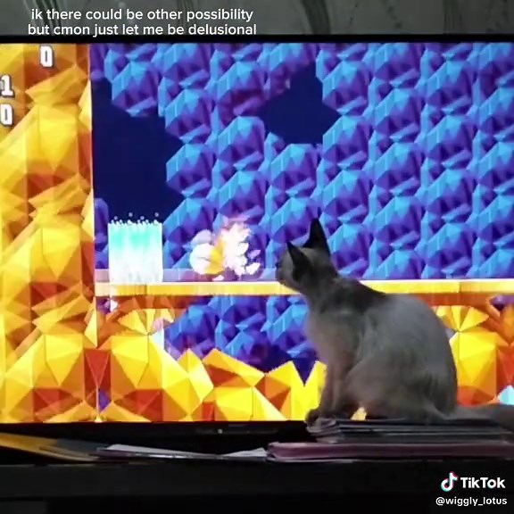 Exploring Cats in the Sonic Fandom