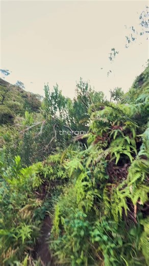 Avery Funthal (@averyfunthal)’s videos with I Think I Like When It Rains - WILLIS