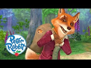 Peter Rabbit - Mr Tod's Wicked Trap! 🦊 | Cartoons for Kids