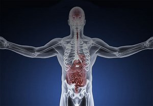 Redefining the Gut-Brain Axis: How the Microbiome Influences Chronic Diseases