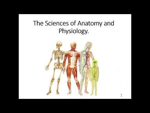 BIO 168 Chapter 1: The Sciences of Anatomy and Physiology