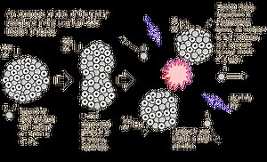 Scientific Study: Nuclear Fission