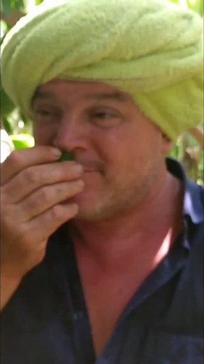 Grow your own soursop at home! (Everything you need to know). This divine little tree teaches us patience and devotion. 🌱 From seed to fruit takes about five years. Today we’re going to the nursery to plant these lovely soursop seeds and watch how they grow. Use a pot big enough for the roots to stretch like this Milky Mist curd pot (perfect size!)😄 Punch a few holes in the bottom, fill it with good soil, tuck the seeds in about an inch deep, and water well. 🌧️ With love, sunlight, and a litt