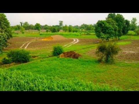 Village & Multan Vlogs is live!