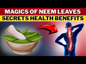 10 Magical Health Benefits of Neem Leaf | Nature’s Ultimate Healing Power