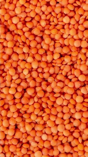 Why Lentils Are So Nutritious