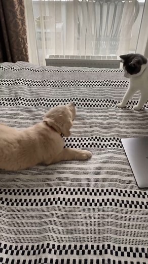 A love, hate relationship…but mostly love!🫶 | Everyday Life