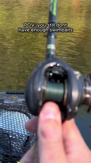 Swimbait Fishing Techniques for Pike Success
