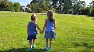 Mawnan Park Nature Garden