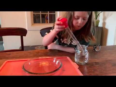 Easy Science Experiments for Kids: Pepper and Water Science Magic Trick