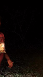 Florida alligator climbing stairs #florida #floridian #livinginflorida #floridacomedy #omgitswicks | Omgitswicks