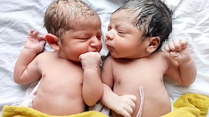 Cutest Twin Newborn Babies #adorablebabies #twin #babies #firstcry #twinbabies #newborns #beautifulbabies #cutebabies | After Birth
