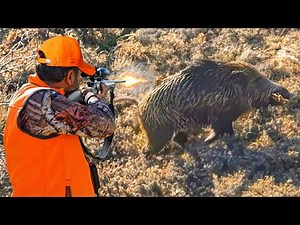 HUNTING the BEAST: PERFECT Shots on WILD BOARS & Fearless Dogs