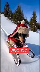 Woohoo I’m going to do dat again. I got some air. #charlieskingdom13 #charlieskingdom20 #charlieskingdom | Charlie’s Kingdom