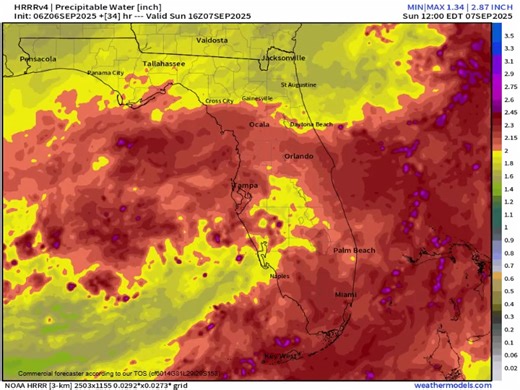 544K views · 1.2K reactions | Precipitable water map here. Shows that upper low spinning in the Gulf west of Florida. Nothing 'tropical' as far as formation. But will spin 'tropical' feeling rains again today and tomorrow. Red is moist air. Purple is extra moist air. Gives idea why the rain chances are high on the weather APPs this weekend. Heavier lower half of the state. www.spaghettimodels.com | Mike's Weather Page | Facebook