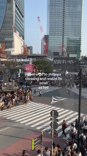 Shibuya Crossing: Is It Actually Small? Visitor Impressions