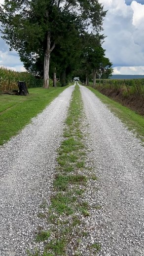2.1K views · 68 reactions | This old farmhouse was built in 1893 on many acres of farm land. It still sits in the middle of that same land. ❤️ | Pretty Old Places | Facebook