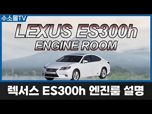 Lexus ES300h Engine Room | Gen 6 (13-18)