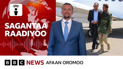 Ashamaa! Sagantaa keenya har'aan * Mormii dhaabbileen siyaasaa adeemsa ijaarsa buufata Xiyyaaraa Bishooftuurratti dhiyeessan *Hooggansi Faannoo qabsoo nagaatti deebi'uu *Abbootiin Gadaa hooggana Amantaa dhimma Salaalee dheekkamsa kaase araarsuurratti waldhabuu *Yaada Obbo Jawaar Filannoorratti qabu qabanneerra. Dhiyaadhaa! | BBC News Afaan Oromoo