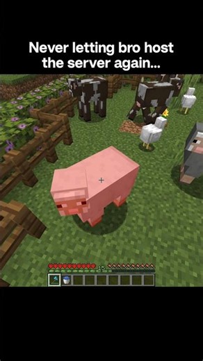 Never letting bro host the server again... #minecraft