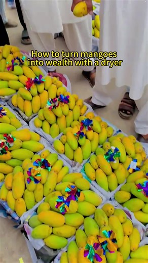 #mango #mangos mango drying machine#driedmango #dryingmachine #dryermachine #fruitdryer #driedfruit #vegetabledryer #foodprocessing #fyp #fouryou #fypagee #fypppppppppppppp