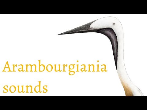 Sounds of Pterosaurs - Arambourgiania philadelphiae