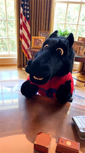 The Bush Center sends a huge congrats to Southern Methodist University and Peruna on officially joining the Atlantic Coast Conference! 🐎♥️💙 #SMU #ACC #BushCenter | George W. Bush Presidential Center