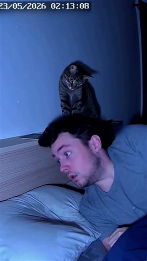 Chat qui fait tomber un verre ! 😆 #chat #humour #2026