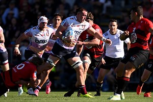 Ex-Crusader Brial out to make history with Reds in Christchurch