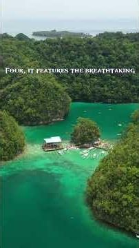 5 Mind Blowing Facts About Siargao Island #facts
