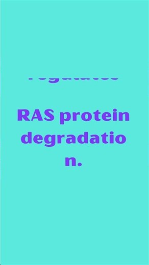 LZTR1 Leucine Zipper Like Transcription Regulator 1