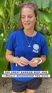 25K views · 99 reactions | Are you looking for a once-in-a-lifetime holiday? ️ Discover the dream destinations of some of our friends to fuel your wanderlust. #ALLTogether #ALLEntertainment | ALL Accor | Facebook