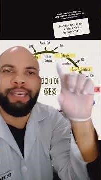 The Krebs cycle: your body's energy factory!