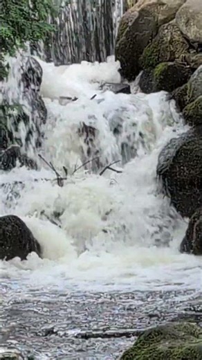 Mini Waterfall Serenity – 20 Seconds of Relaxing Nature Sounds 🌿💧