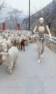 2.8M views · 10K reactions | Robot 烙 | 9jahausa.com | Facebook